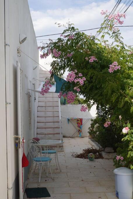 Amarilis Holiday home
